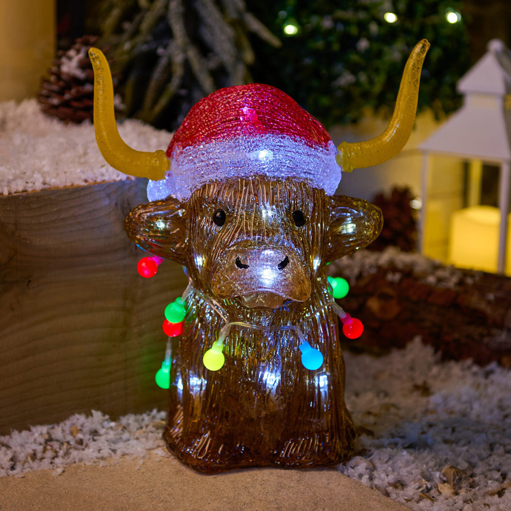 Acrylic Highland Cow Decoration Image 1