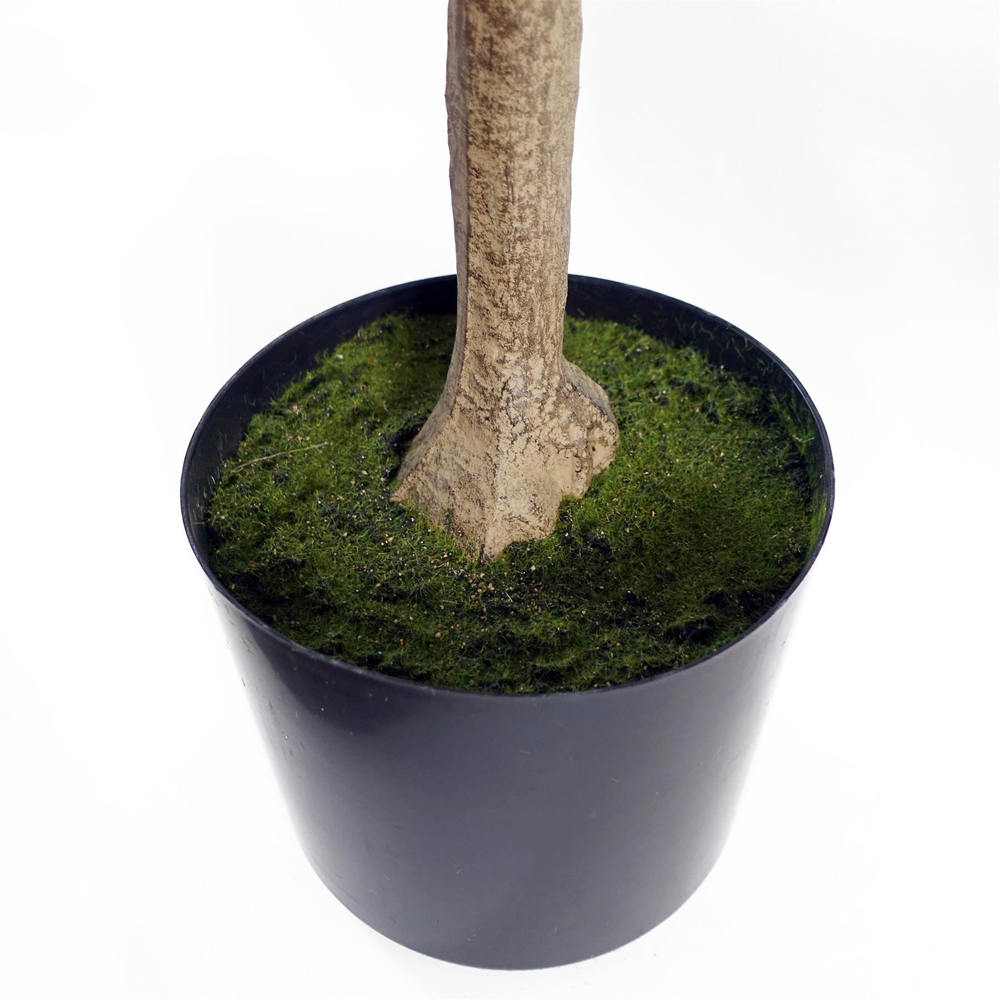 Botanik Eucalyptus Artificial Tree in Pot 5ft Image 3