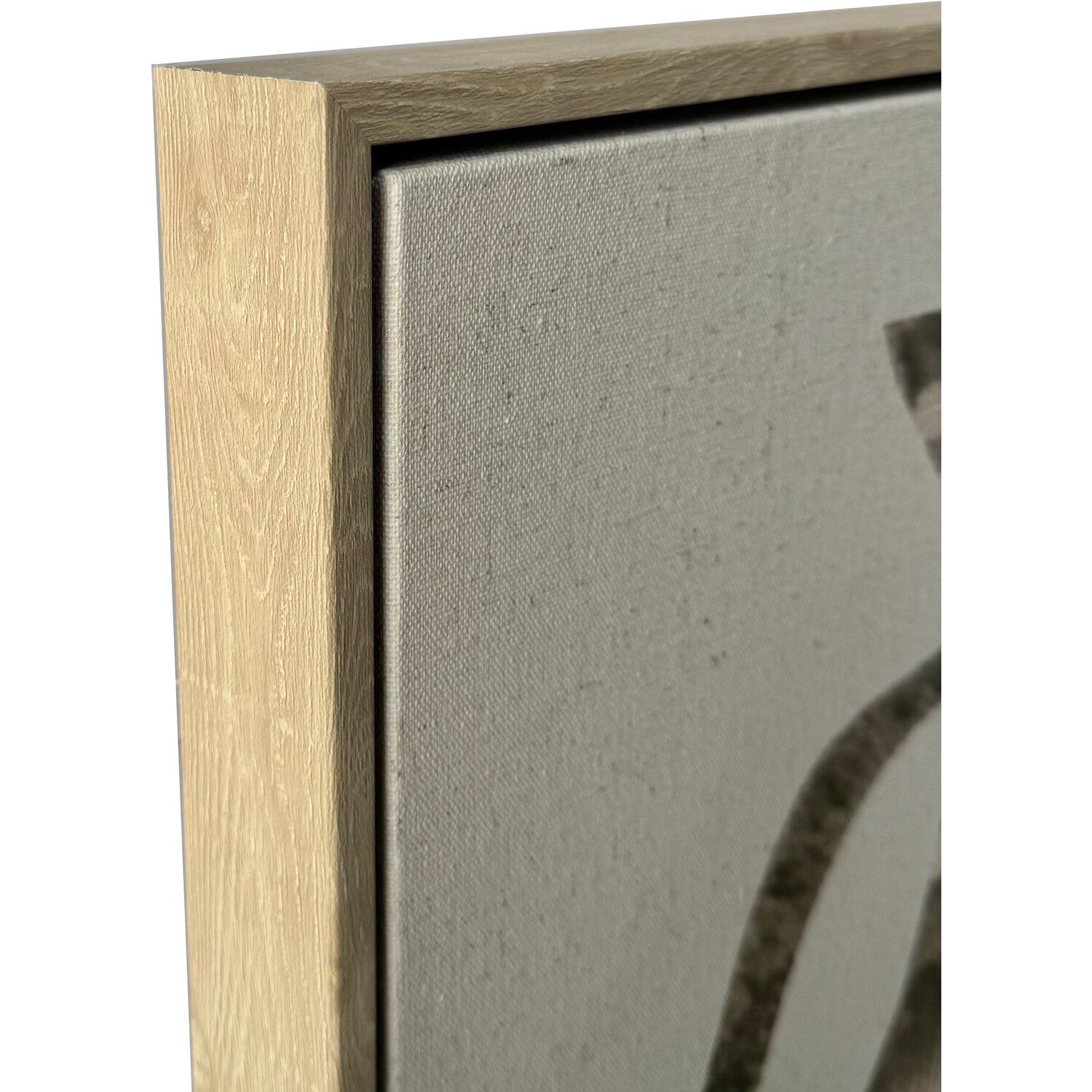 Botanical Vase Silhouette Framed Art Natural Image 3