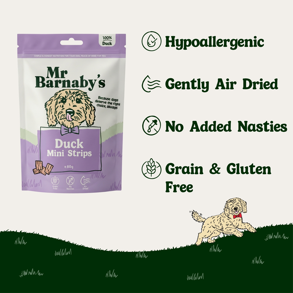 Mr Barnaby's Duck Mini Strips Dog Treats 80g 4 Pack Image 5