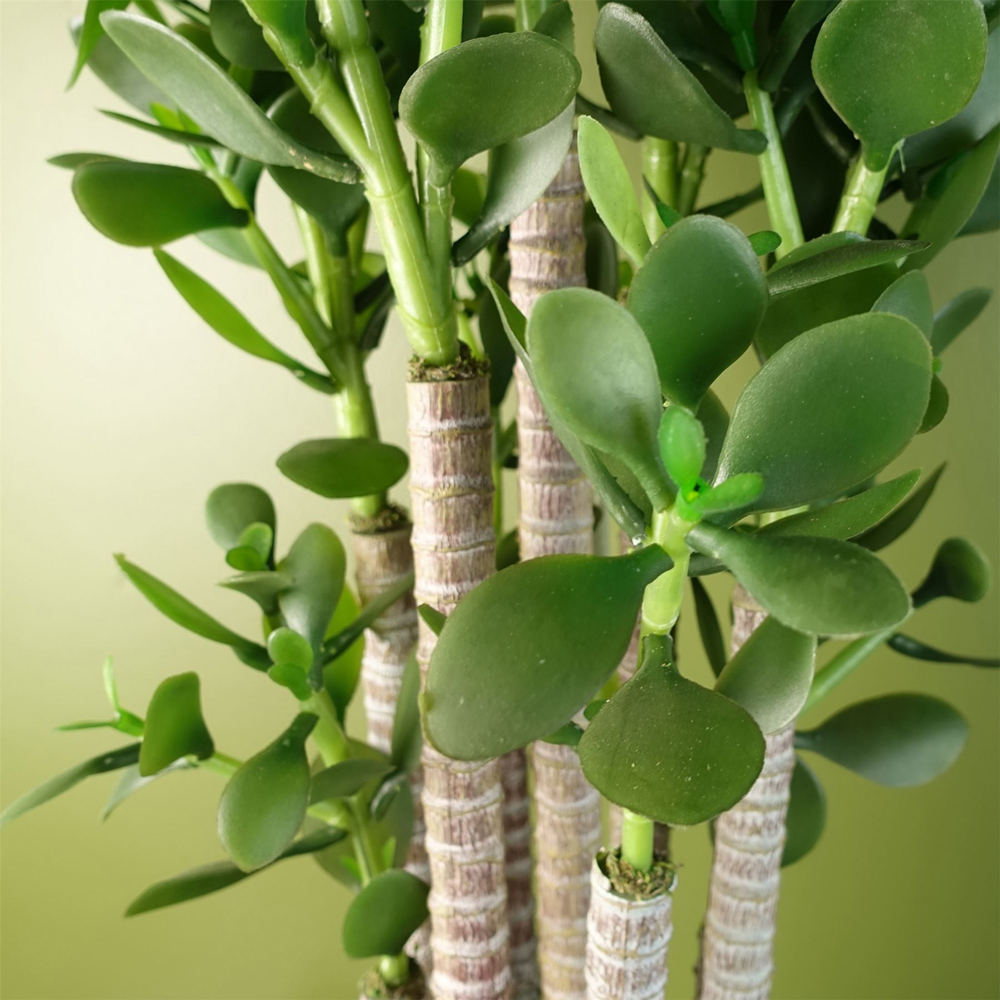 Botanik Green Jade Shrub Artificial Plant in Pot 75cm Image 6