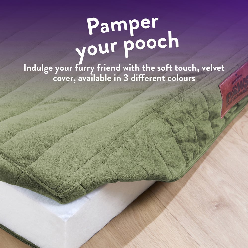 Slumberdown Medium Green Orthopaedic Pet Bed Image 6