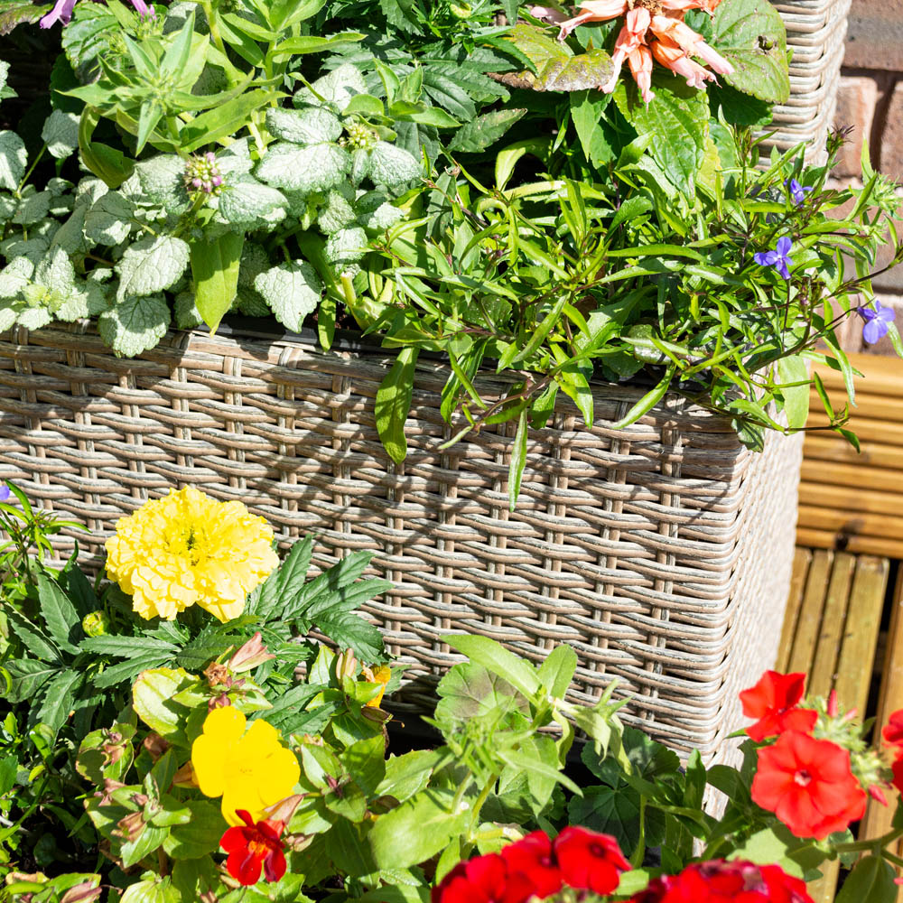 Rowlinson 3 Tier Natural Rattan Planter Image 3