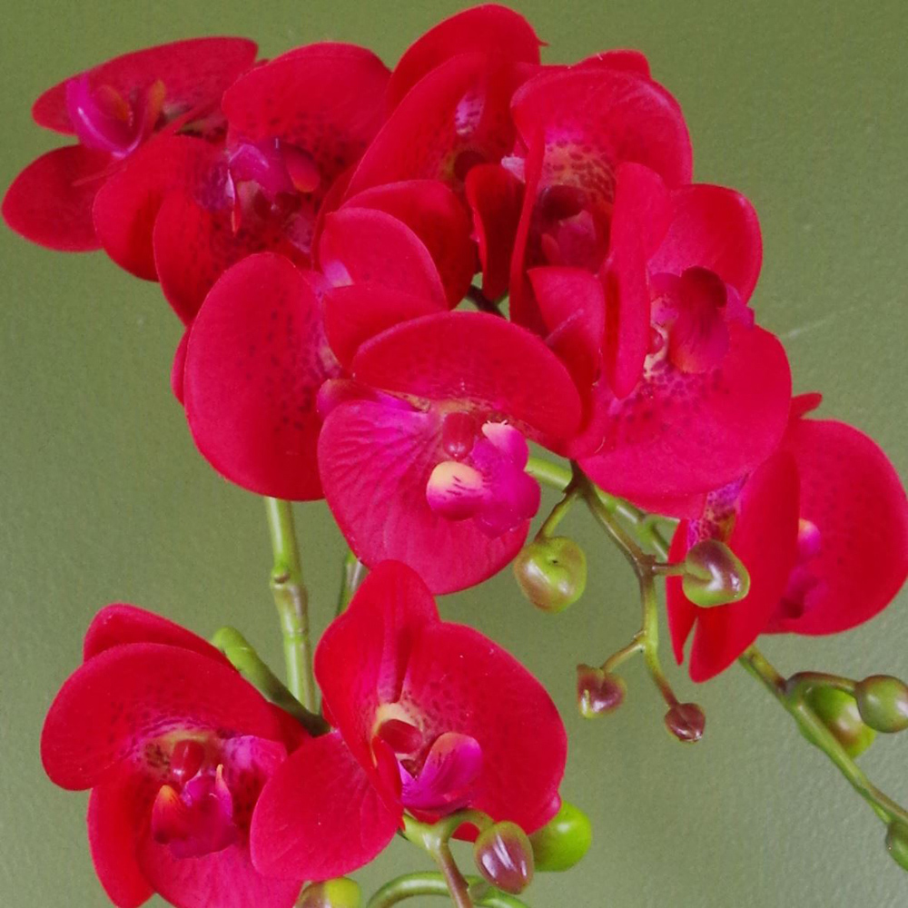 Botanik Red Leopard Phalaenopsis Orchid Artificial Plant in Gold Pot 50cm Image 3