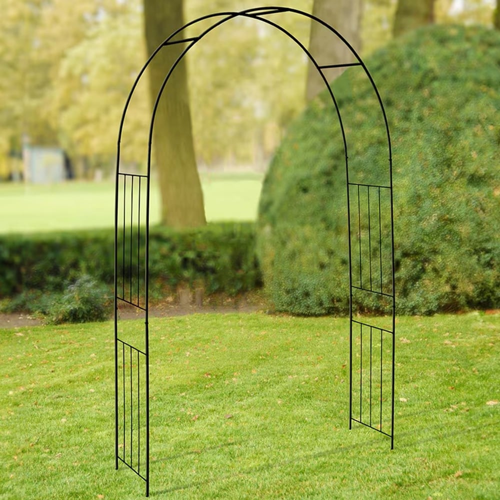 Fallen Fruits 2.2 x 1.3m Black Iron Decorative Rose Archway Image 1