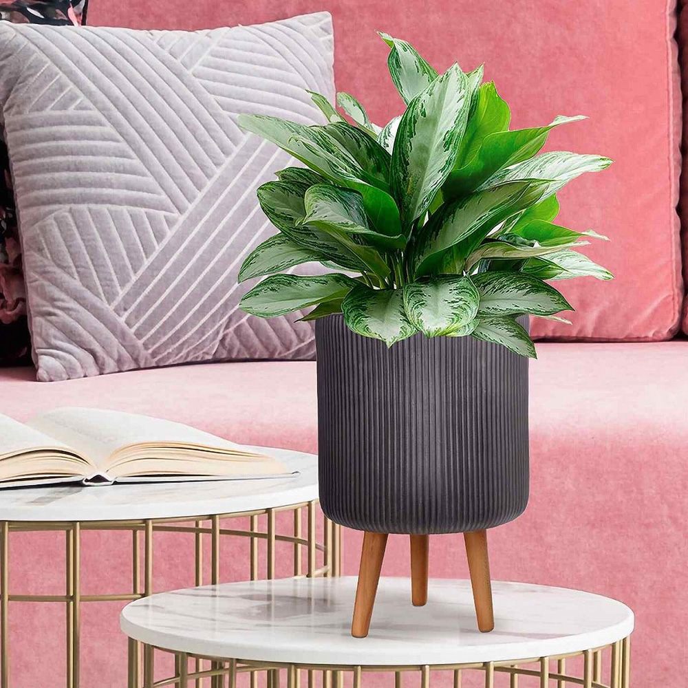 wilko Ribbed Black Indoor Cylinder Plant Pot with Legs 36cm Image 3