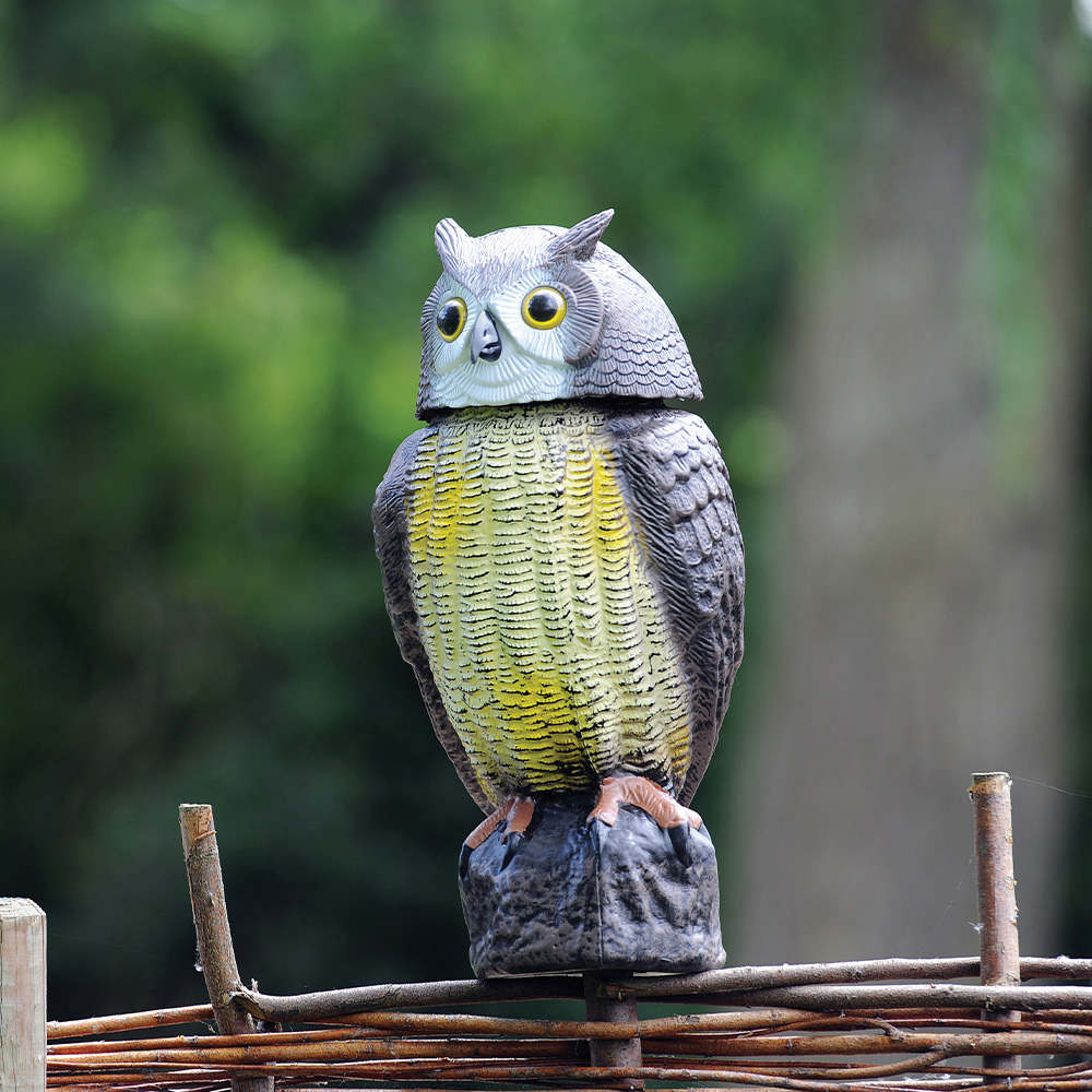 The Big Cheese Wind Action Owl Image 2