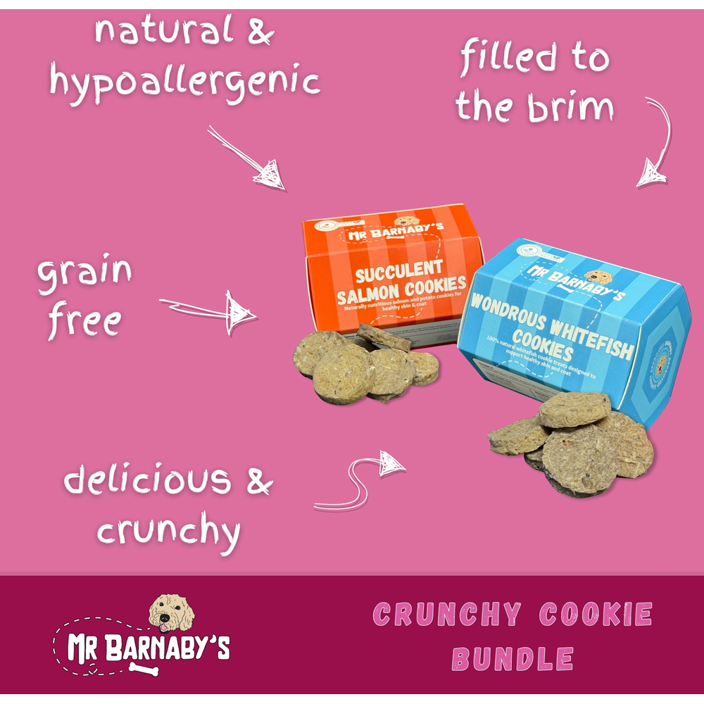 Mr Barnaby's Crunchy Cookie Dog Treats Bundle 4 Pack Image 3