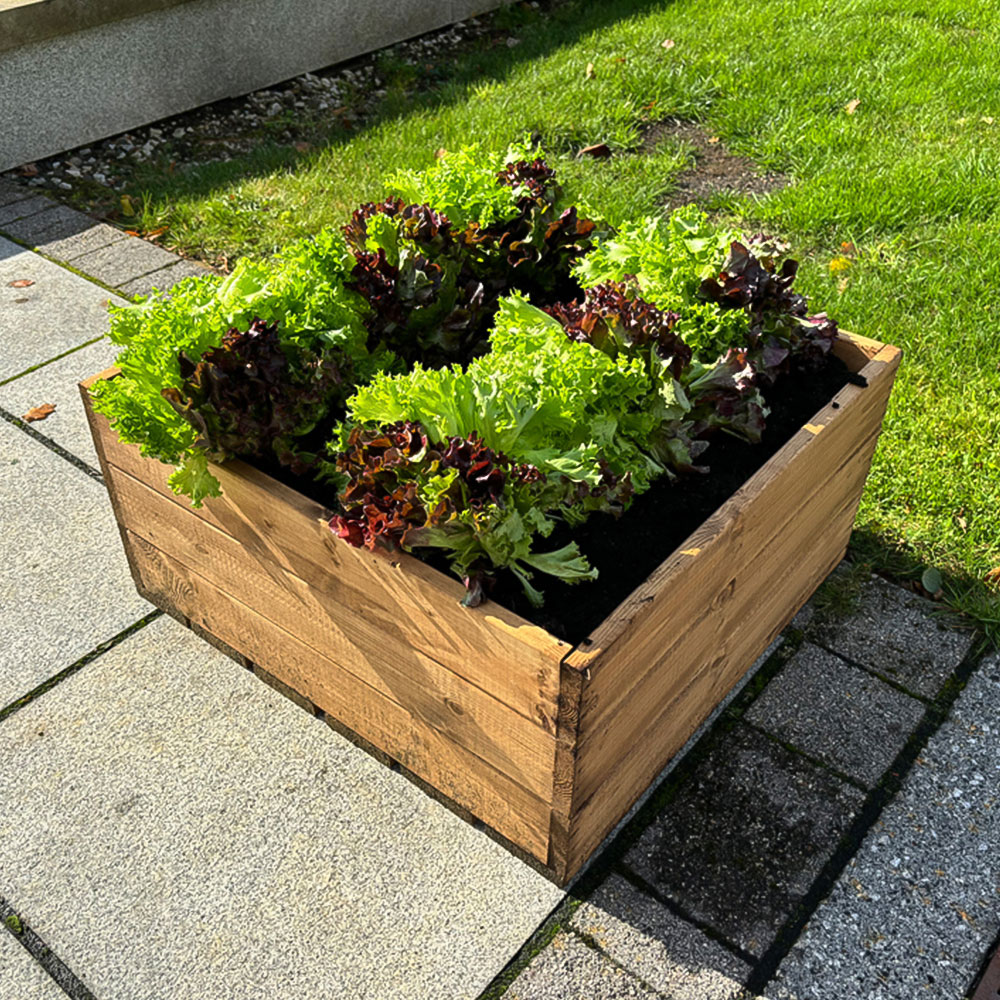 Charles Taylor Country Kitchen Large Raised Bed Image 7