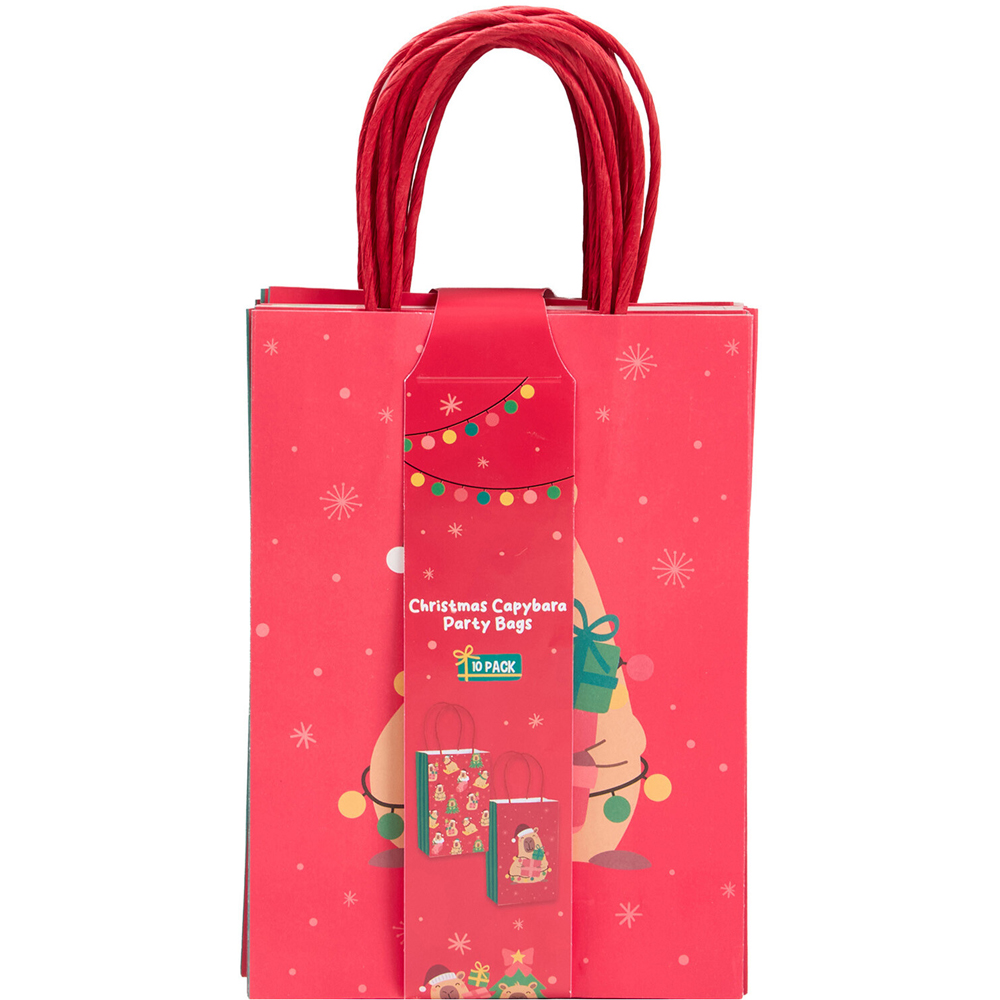 Pack of 10 Christmas Capybara Party Bags Image 2