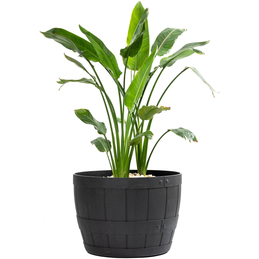 Primeur Tierra Verde Barrel Slate Planter 54cm Image 4