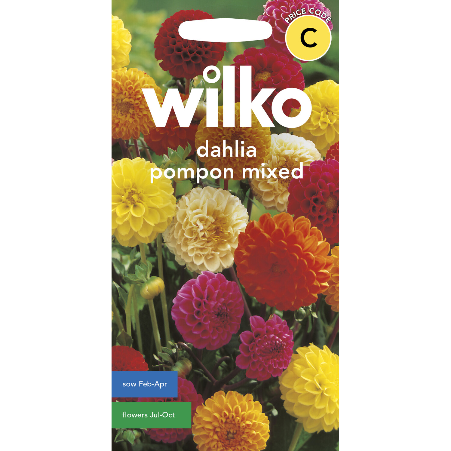 Wilko Dahlia Pompon Mixed Seeds Image 1