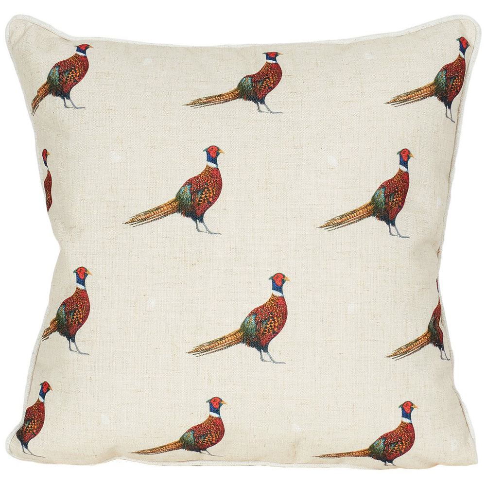 Divante Pheasant Cushion - Natural Image 1