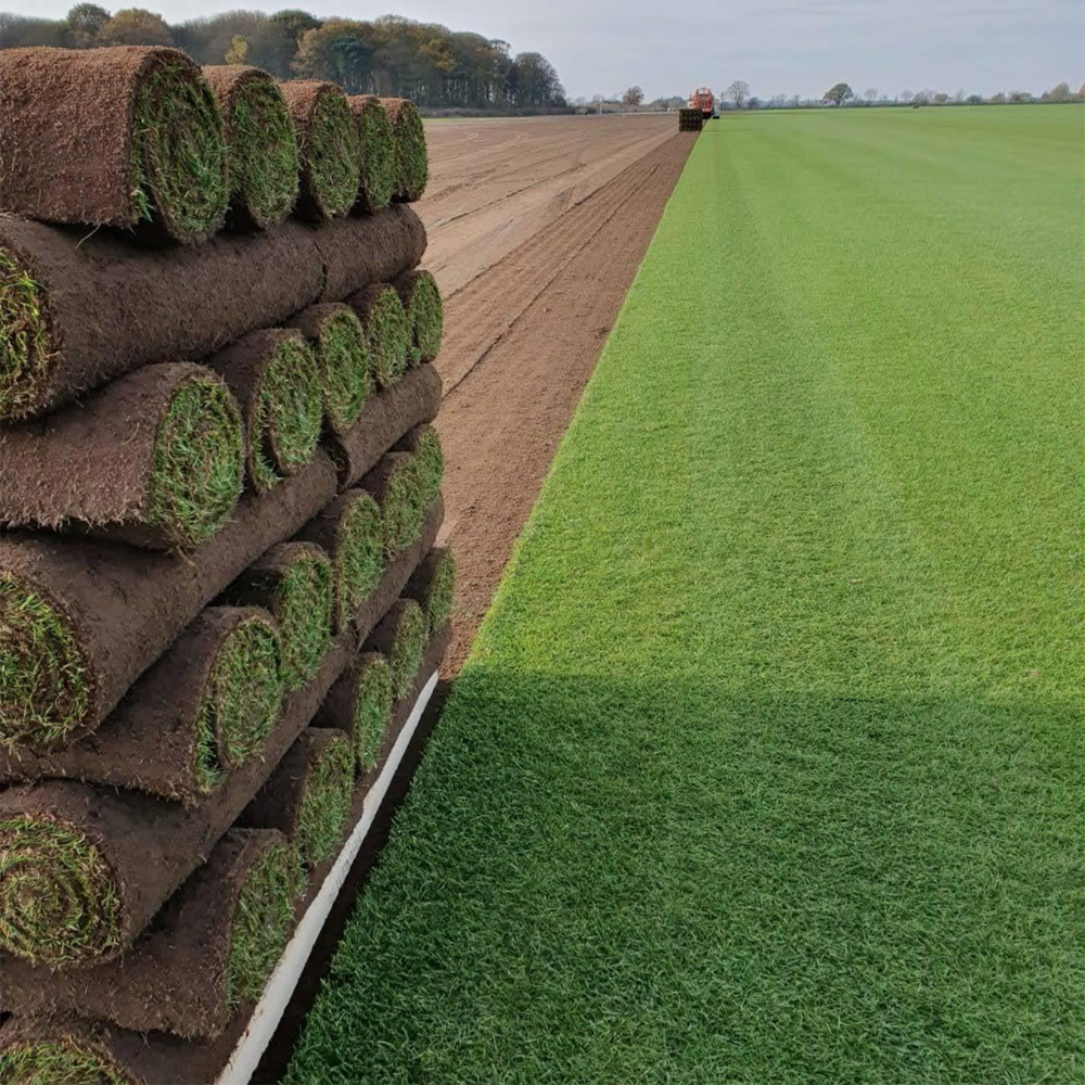 Inturf Classic Turf Roll 60sqm Image 3