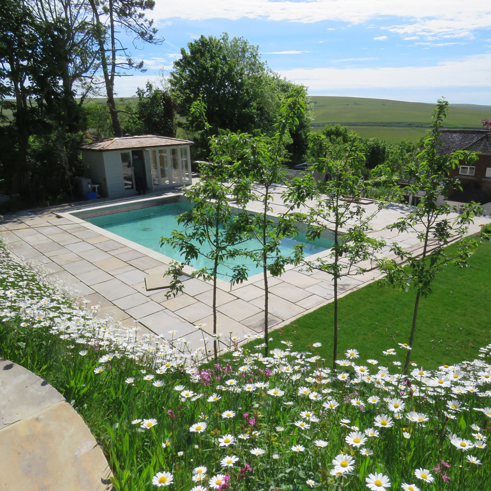 Harrowden Wildflower and Grass Meadowmat 5sqm Image 2