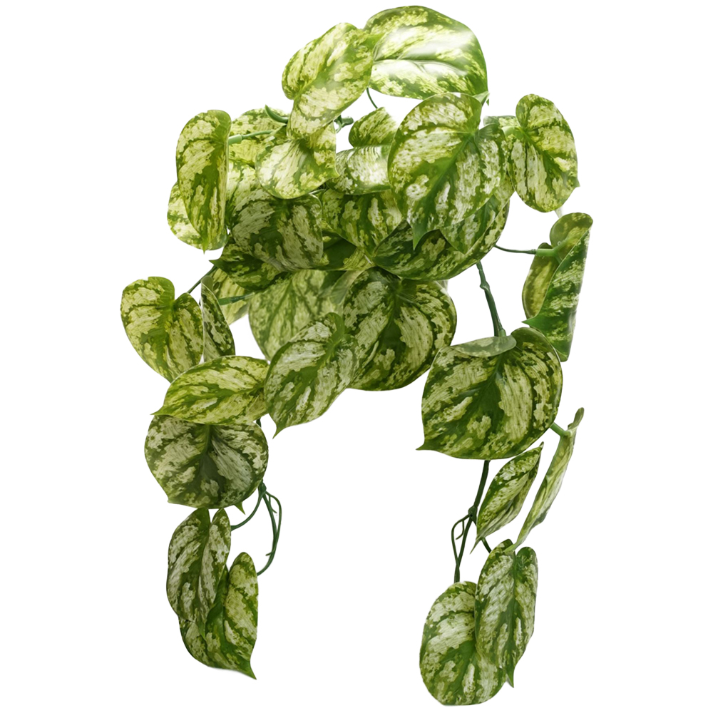 Leaf Light Green Trailing Artificial Plant 35cm Image 1
