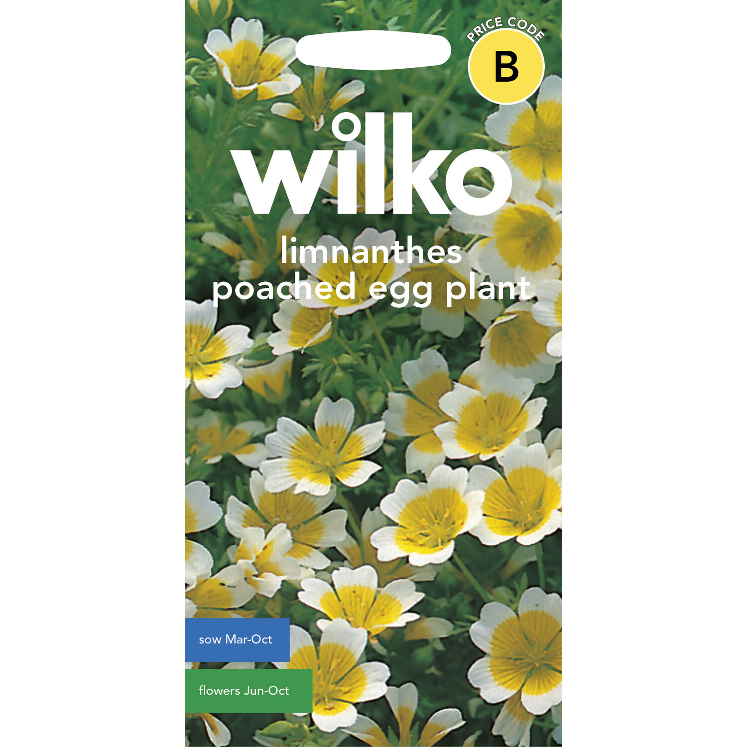 Wilko Limnanthes Poached Egg Plant Seeds and Yellow Image 1