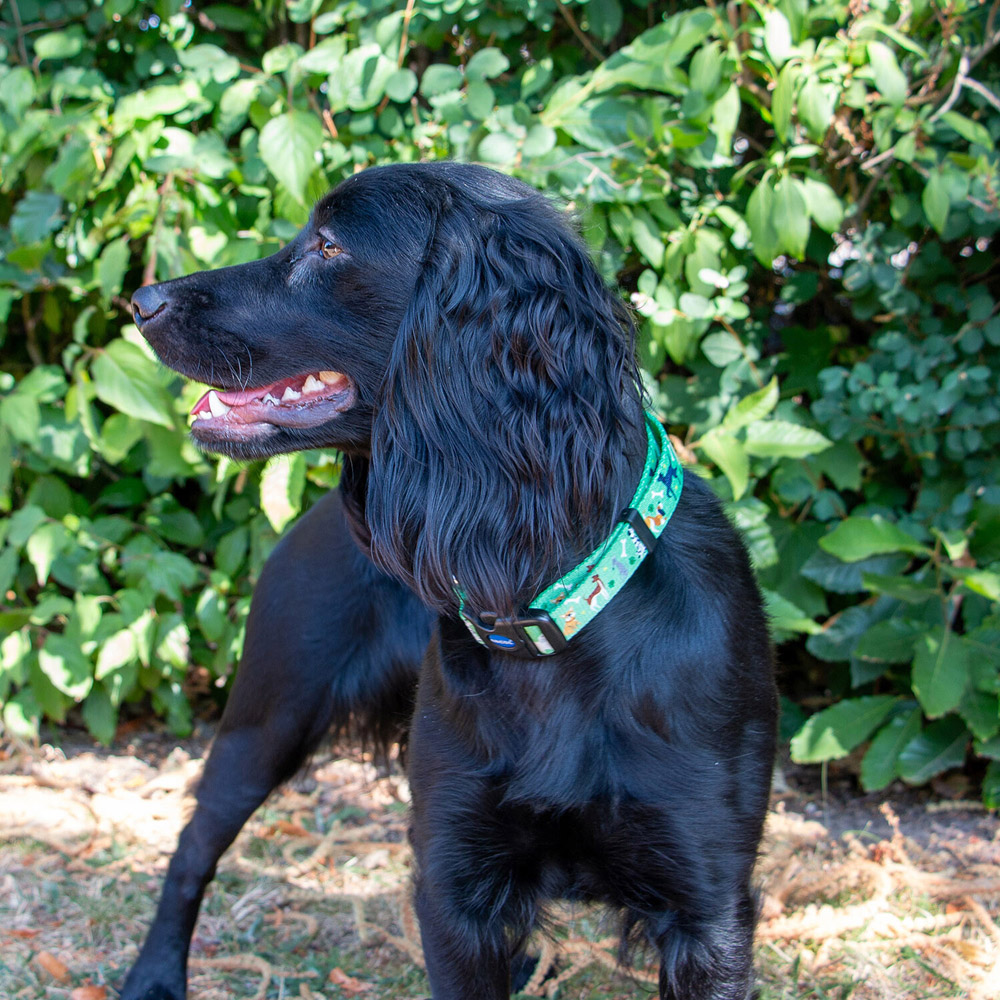 Soho Dog Collar Green S Image 2