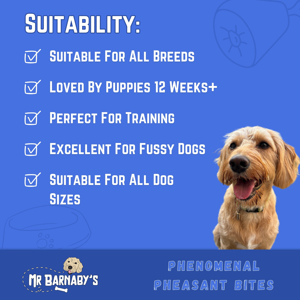Mr Barnaby's Phenomenal Pheasant Bites Dog Treats 2 Pack Image 5