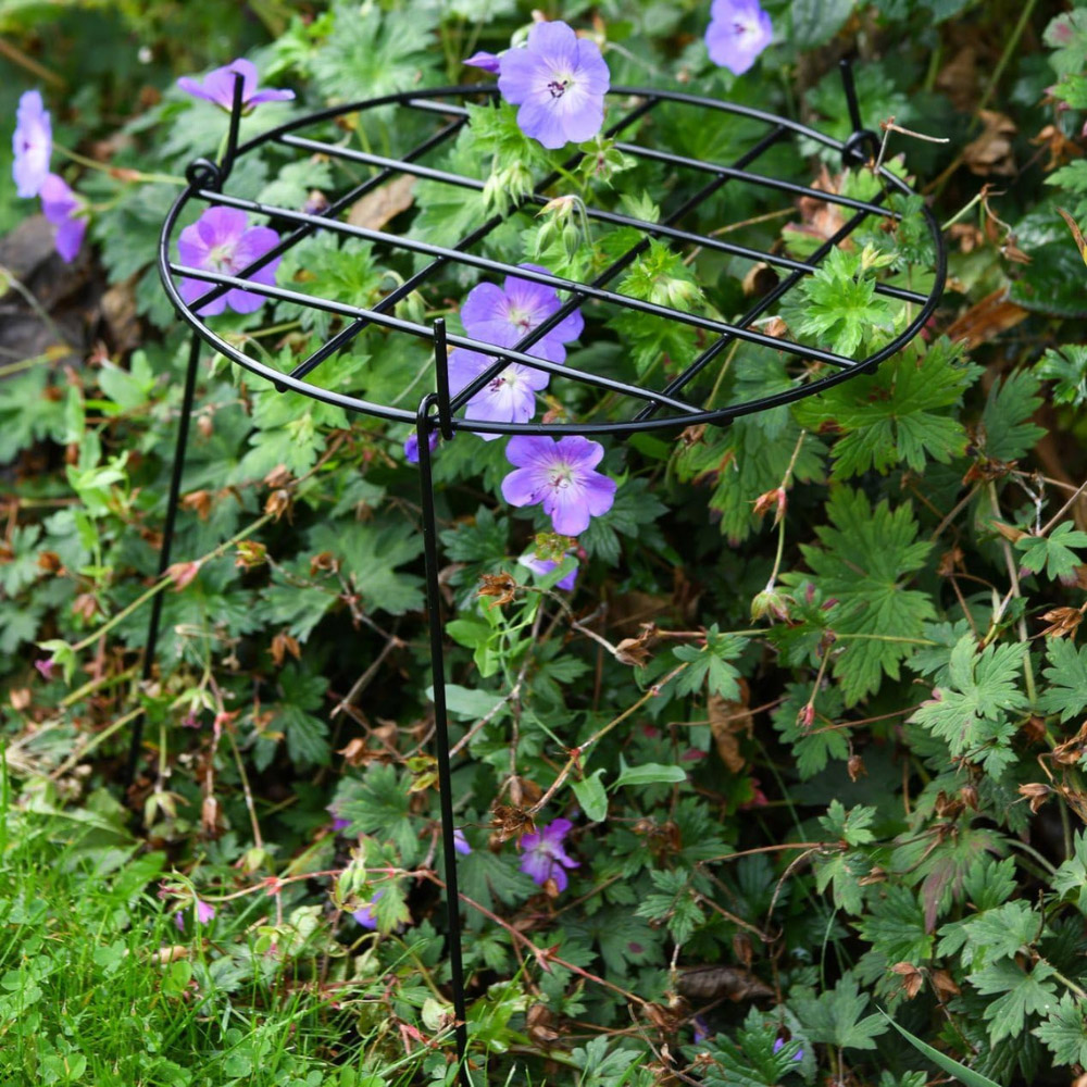 Garden Gear Medium Round Grow Through Grid Support 50 x 30 x 30cm 5 Pack Image 4