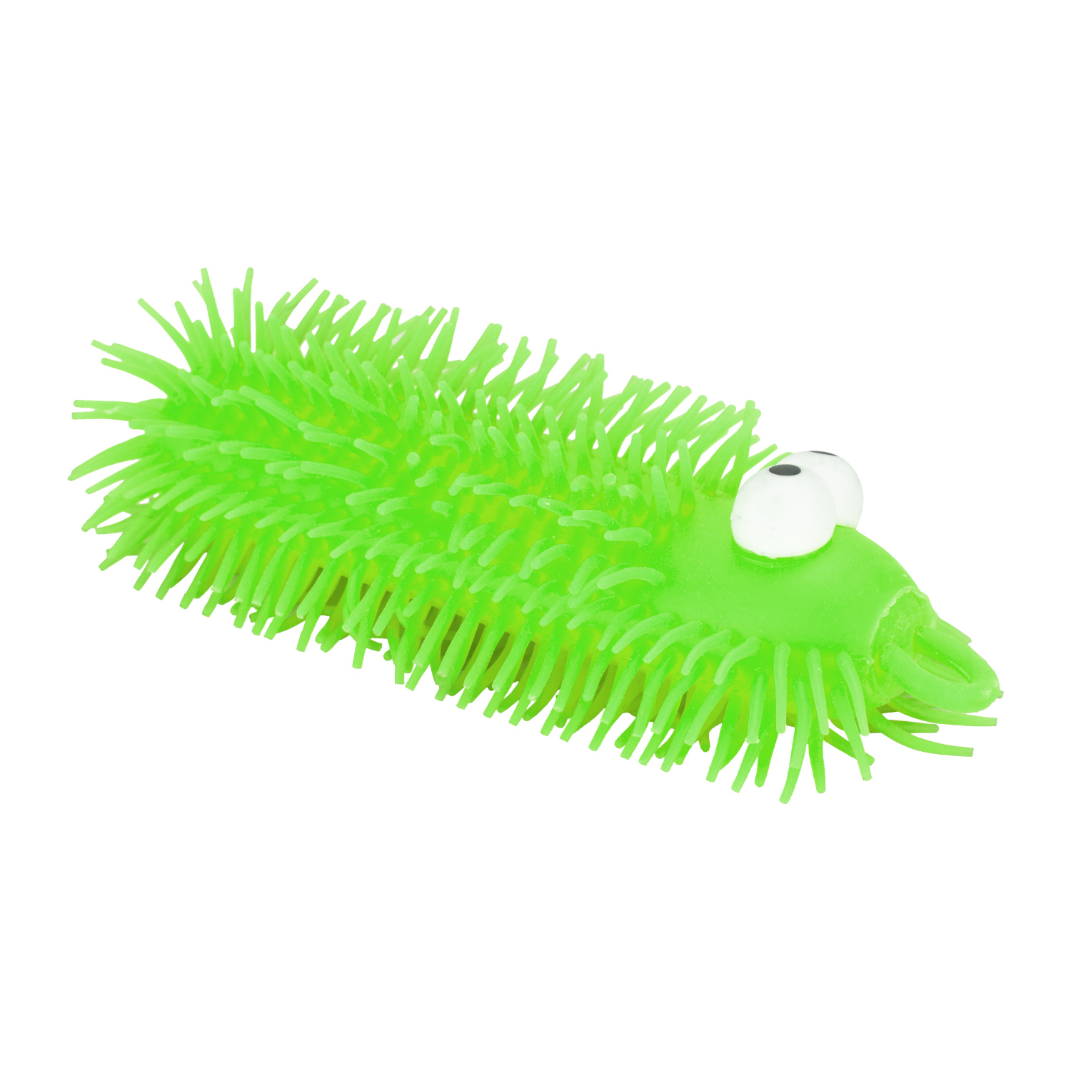 Puffer Caterpillar Image 4