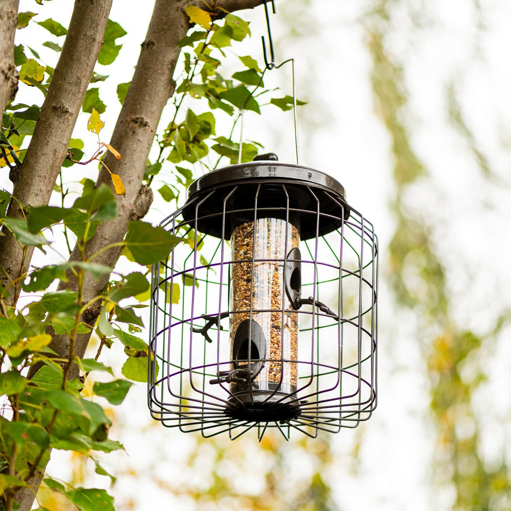 Thompson and Morgan Happy Beaks Premium Squirrel Proof Seed Feeder Image 4