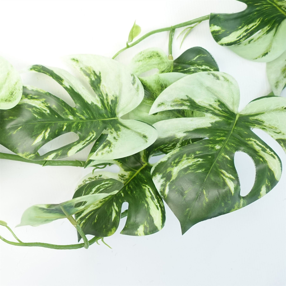 Leaf Trailing Variegated Monstera Hanging Artificial Plant 6ft Image 5