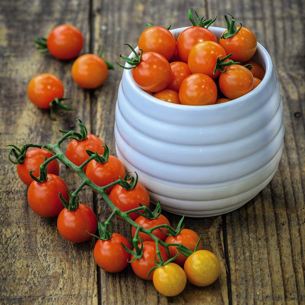Thompson and Morgan Tomato Honeycomb F1 Seeds Image 2