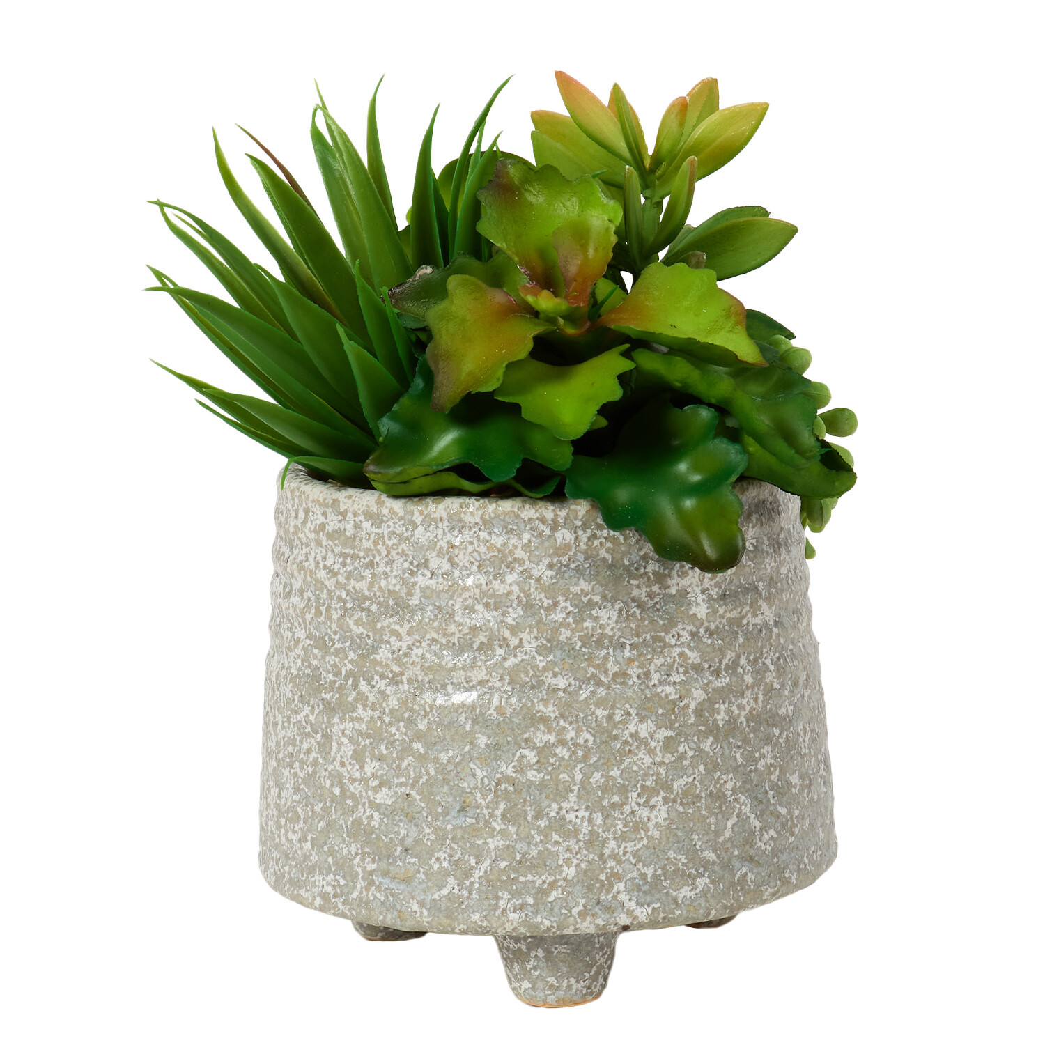 Succulent in Footed Pot - Grey Image 2