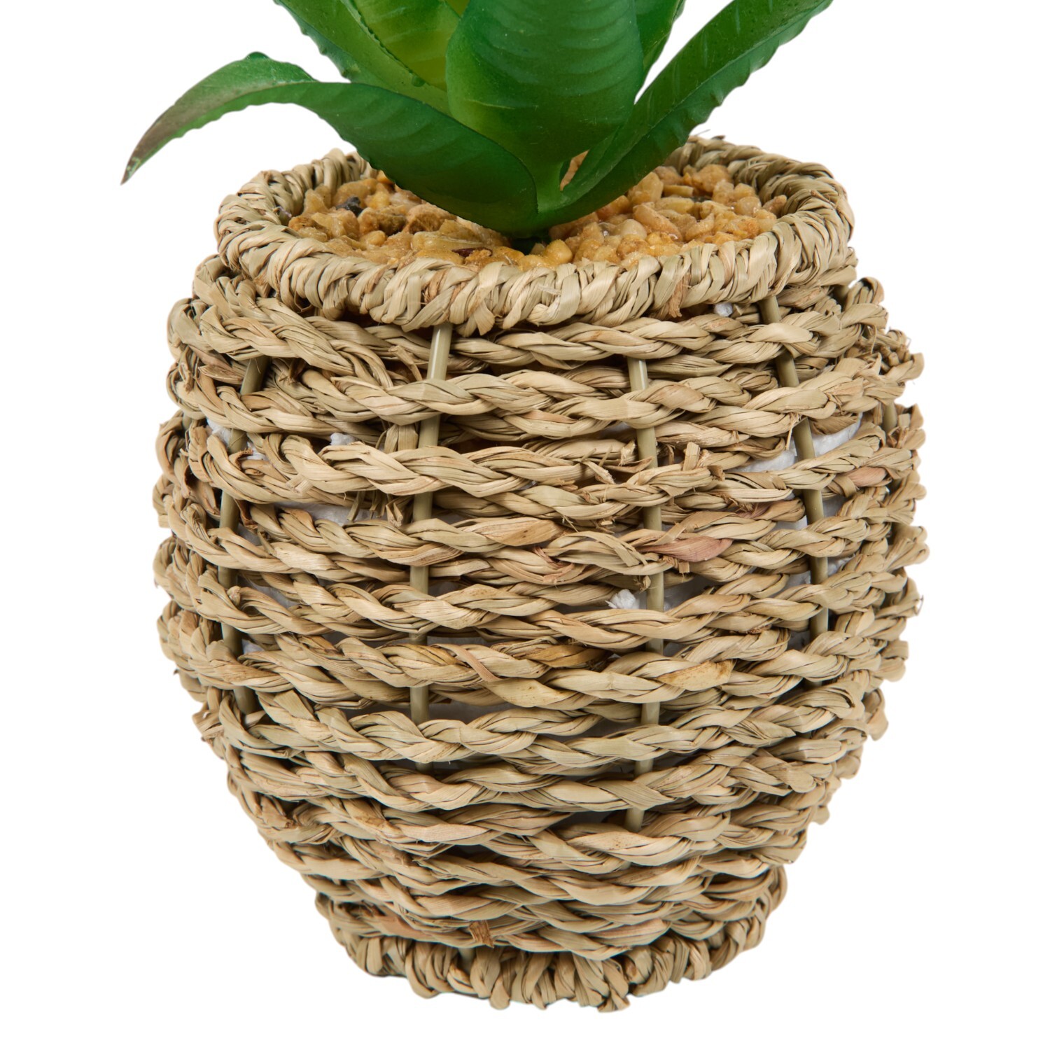 Succulent in Water Hyacinth Pot Natural Image 3