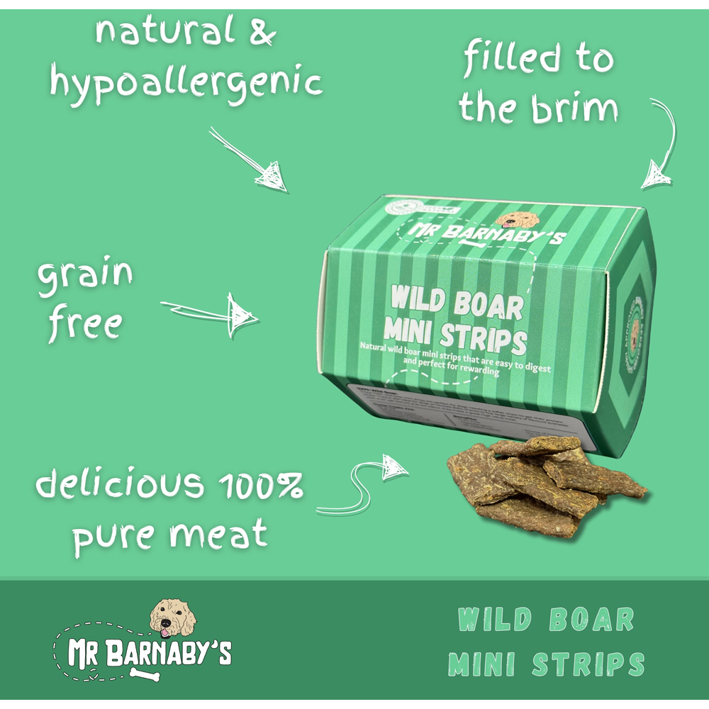 Mr Barnaby's Wild Boar Mini Strips Dog Treats 6 Pack Image 3