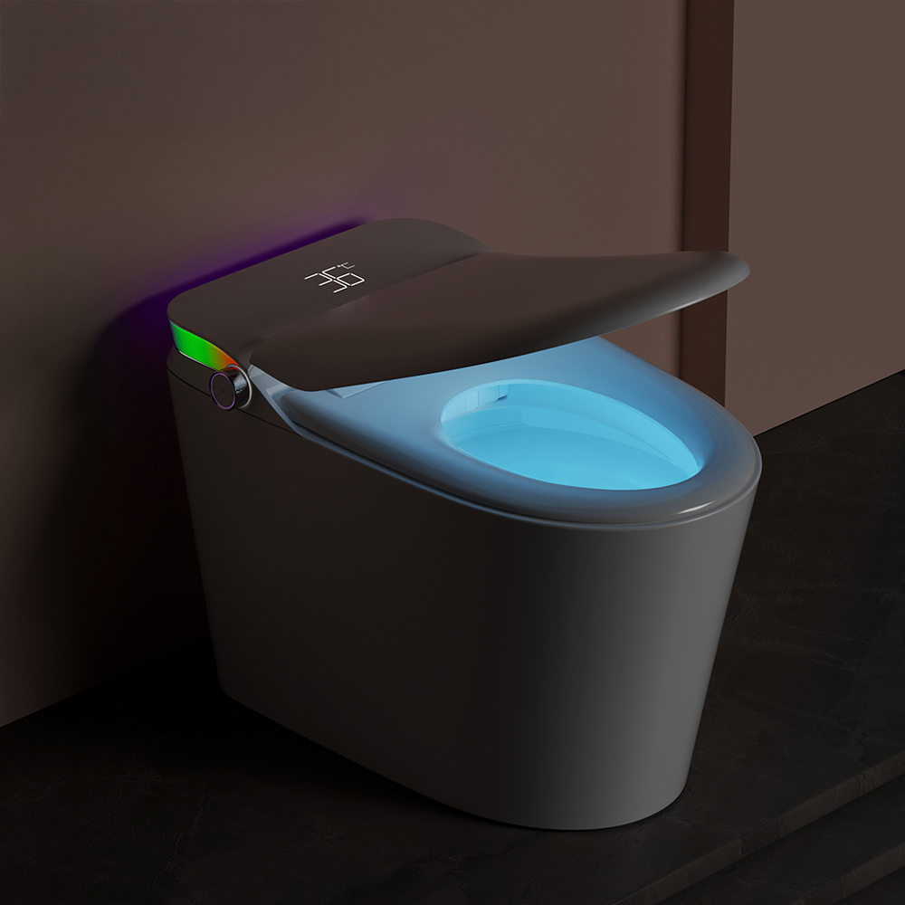 ENER-J HygienePro Smart Toilet with Inner Tank Image 8