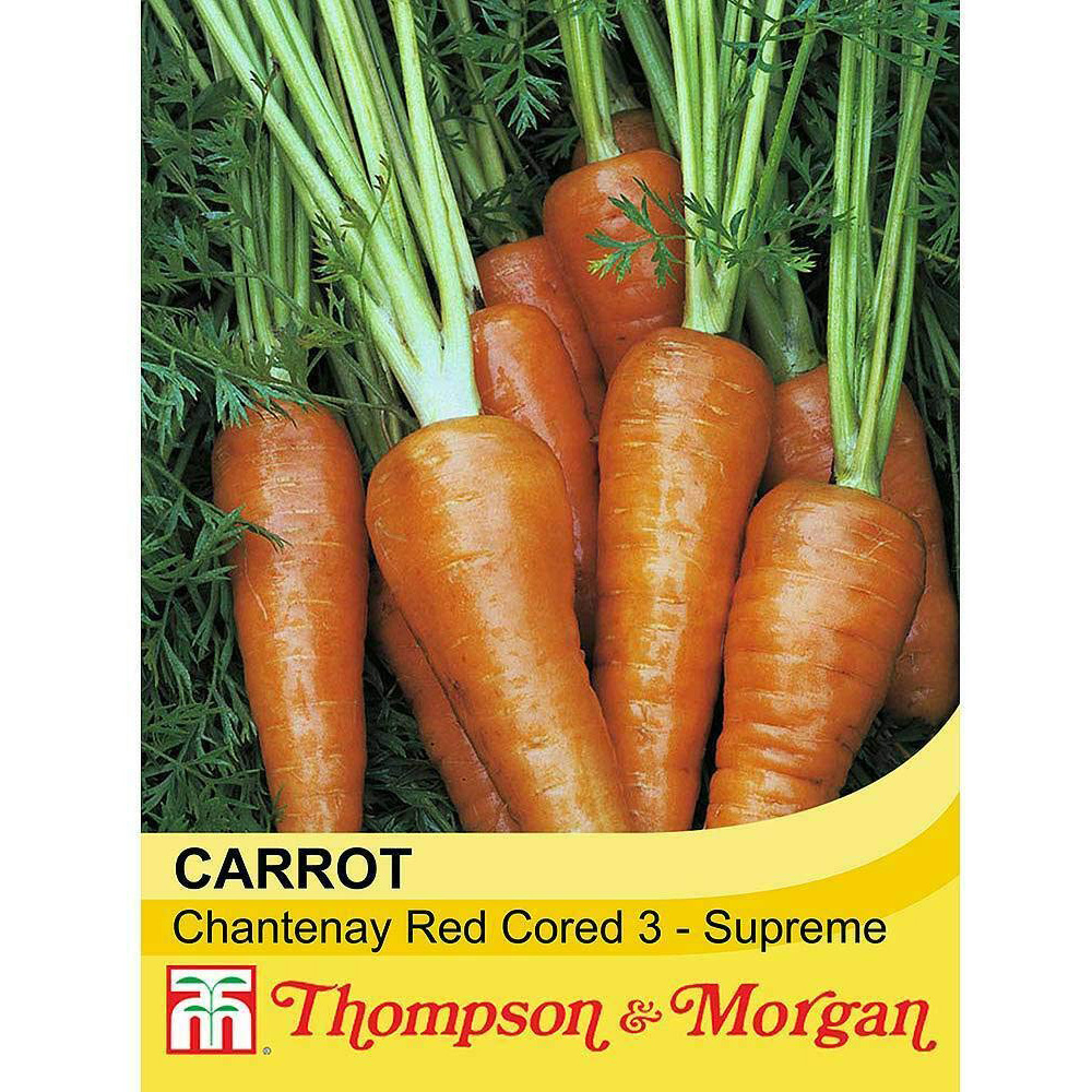 Thompson and Morgan Carrot Chantenay Red Cored 3 Supreme Seeds Image 2