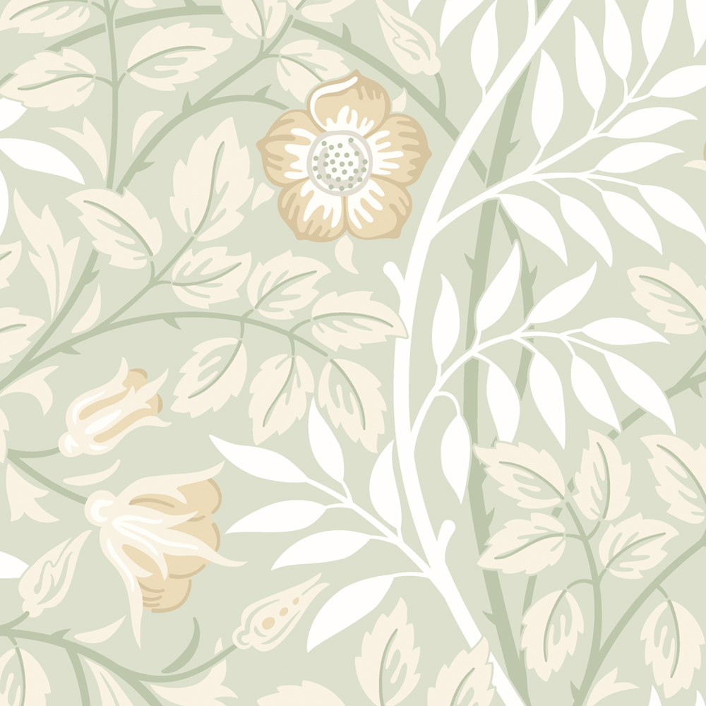 Hoopla Walls Rosehip Trail Sage Green Non Woven Wallpaper Image 1