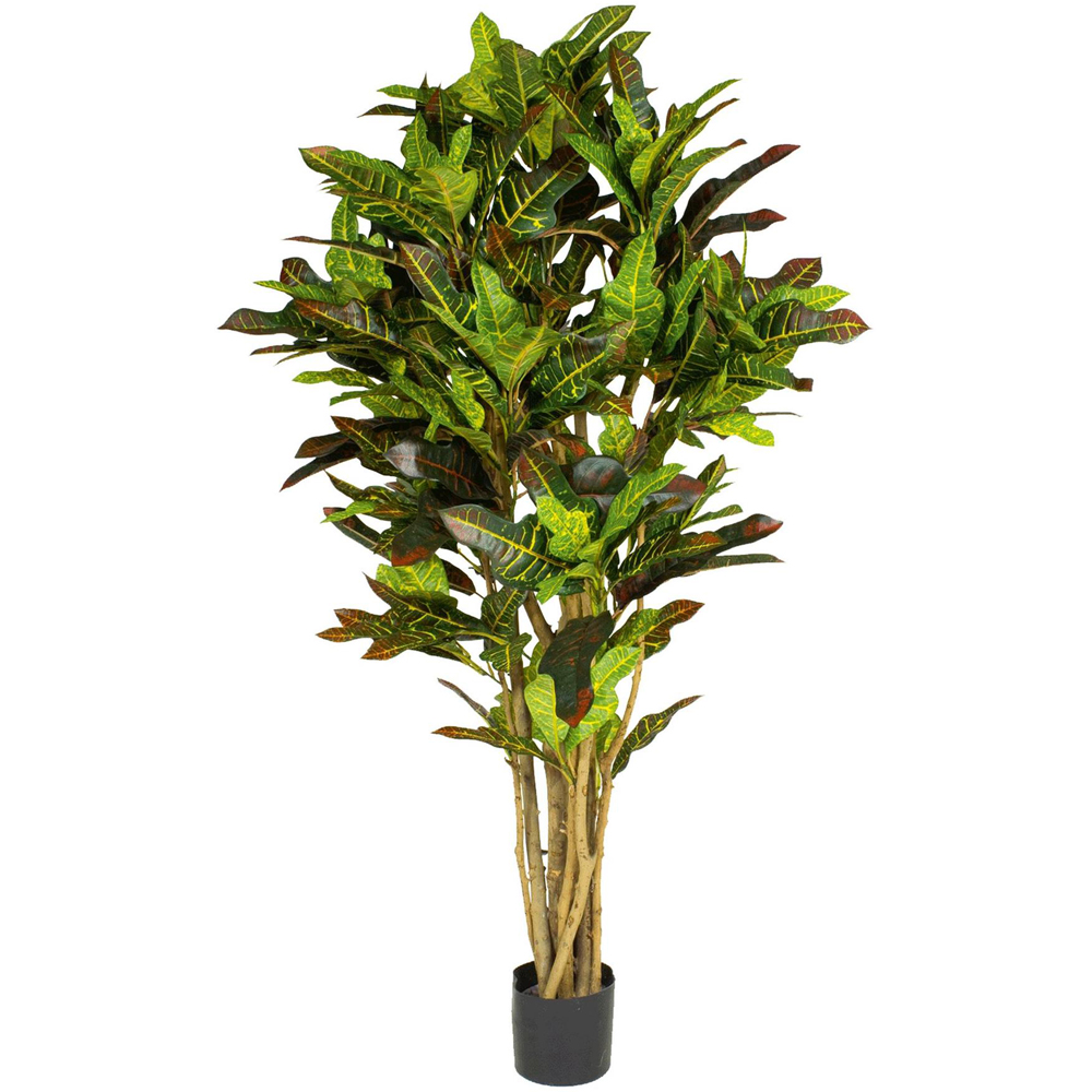 Botanik Croton Artificial Tree in Pot 5ft Image 1