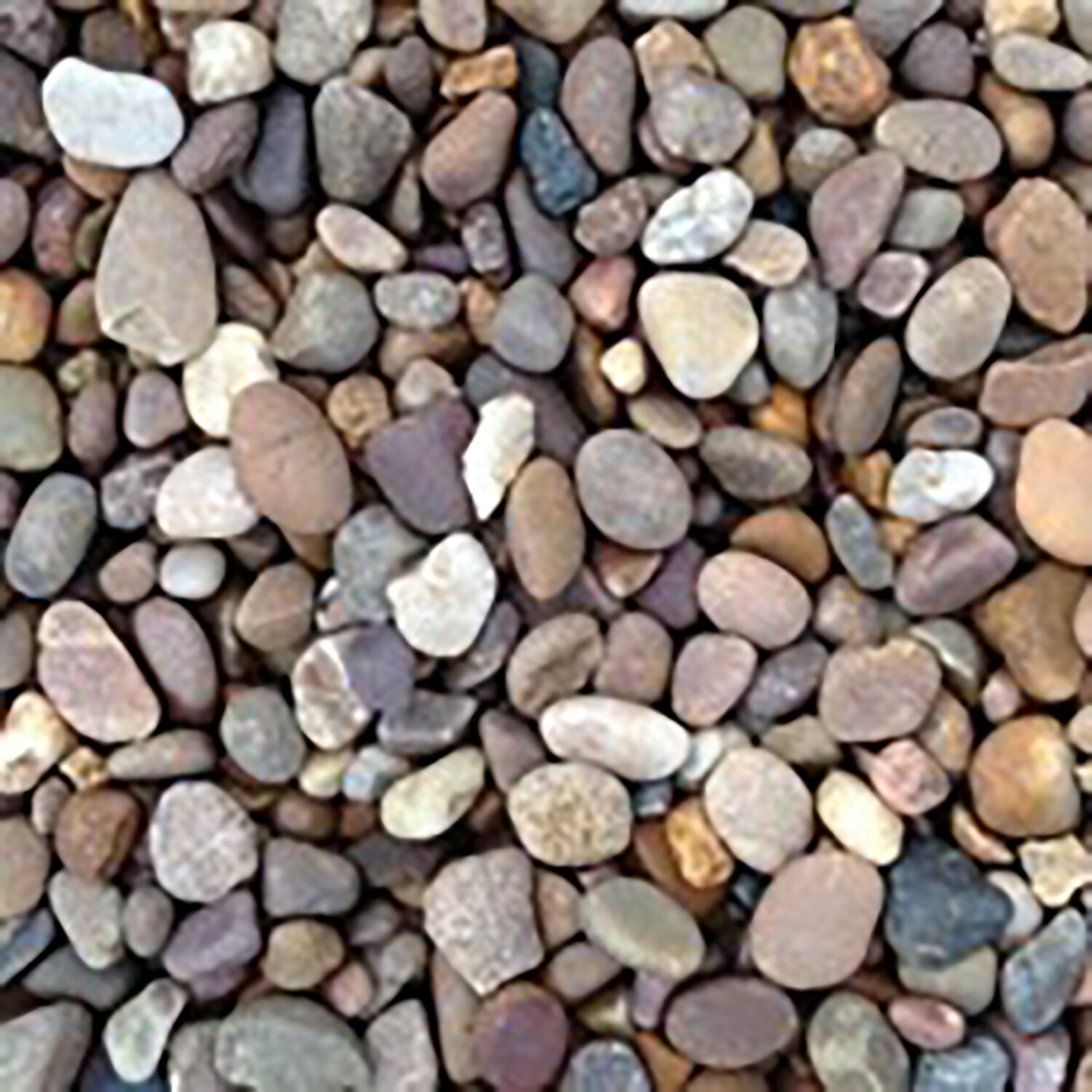 Suburban Stone Pea Gravel Chippings 20mm 5kg Image 3