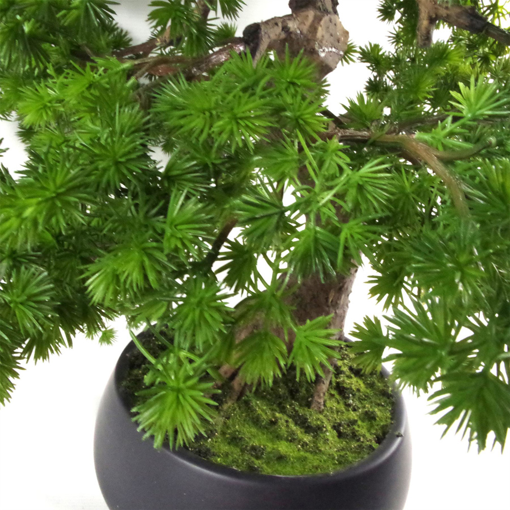 Botanik Pine Bonsai Artificial Tree 50cm Image 4