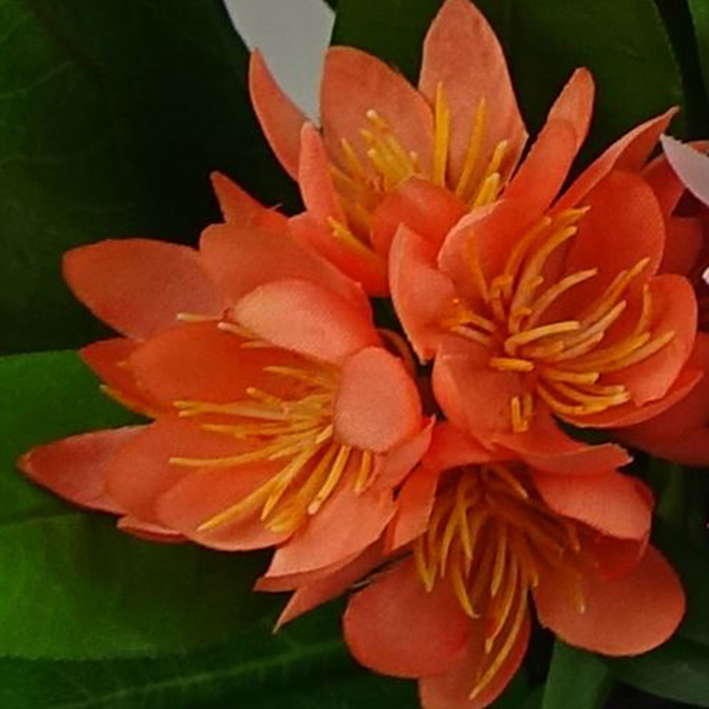 Leaf Freesia Artificial Plant in Pot 18cm 3 Pack Image 2