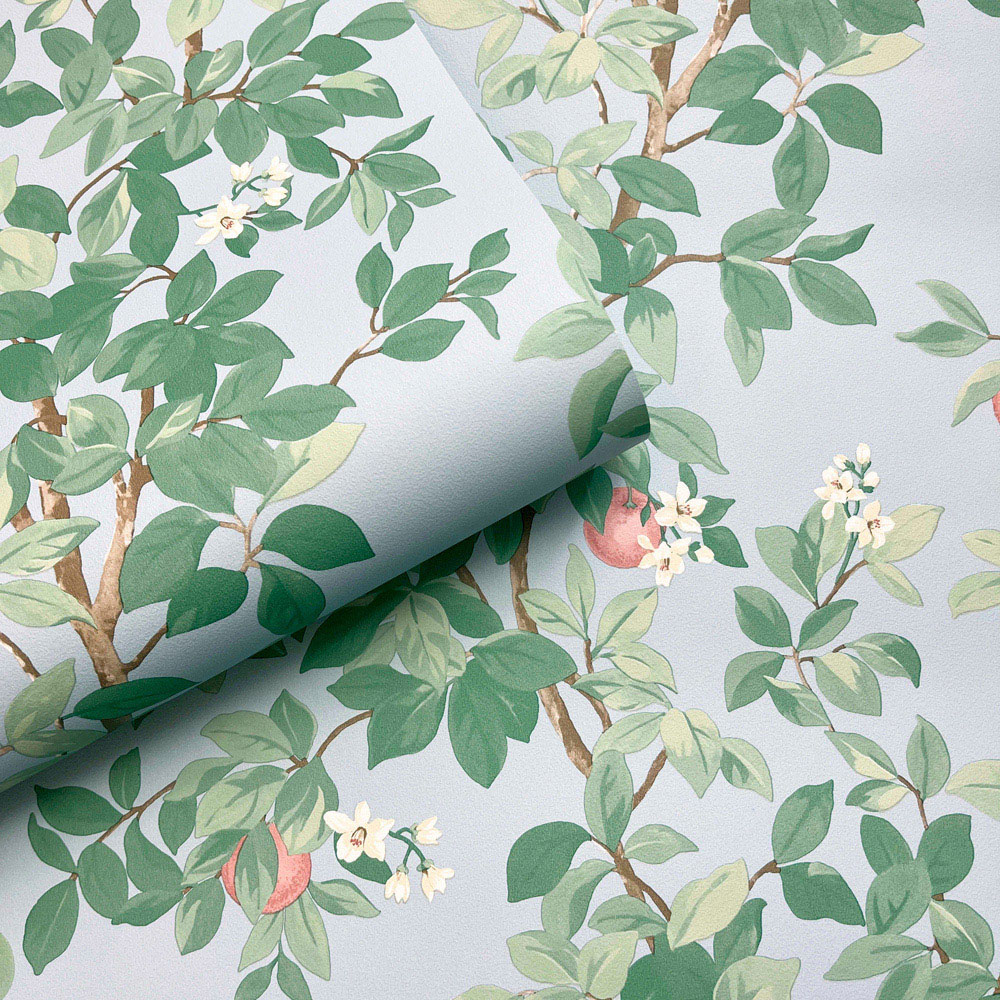 Holden Decor Orange Tree Sky Blue Wallpaper Image 2