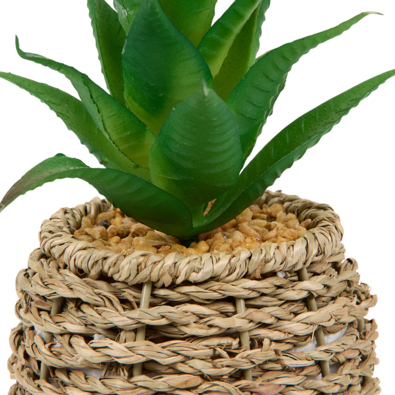 Succulent in Water Hyacinth Pot Natural Image 2