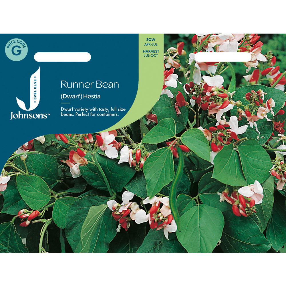 Runner Bean Dwarf Hestia Seeds Image 2