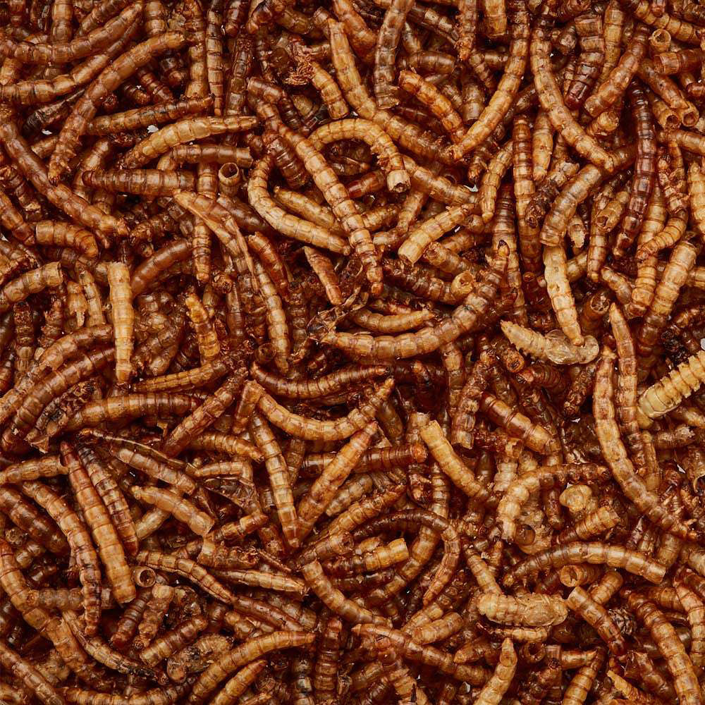 Happy Beaks Meal Worms Bird Food Bag 200g Image 4