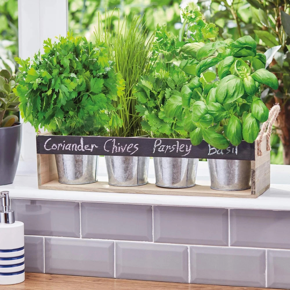 Garden Gear Chalk Board Herb Garden Gift Set Image 2