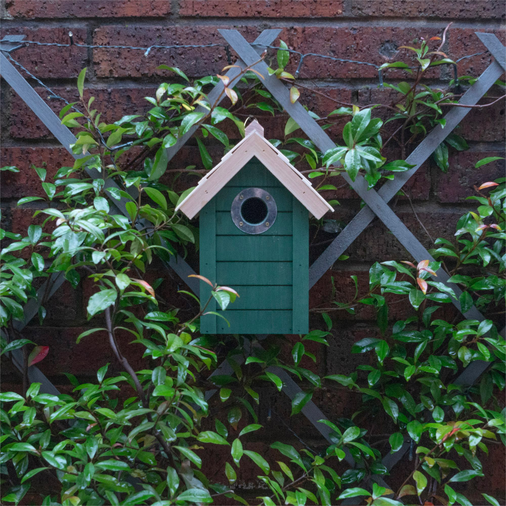St Helens Green Wooden Bird House Image 3