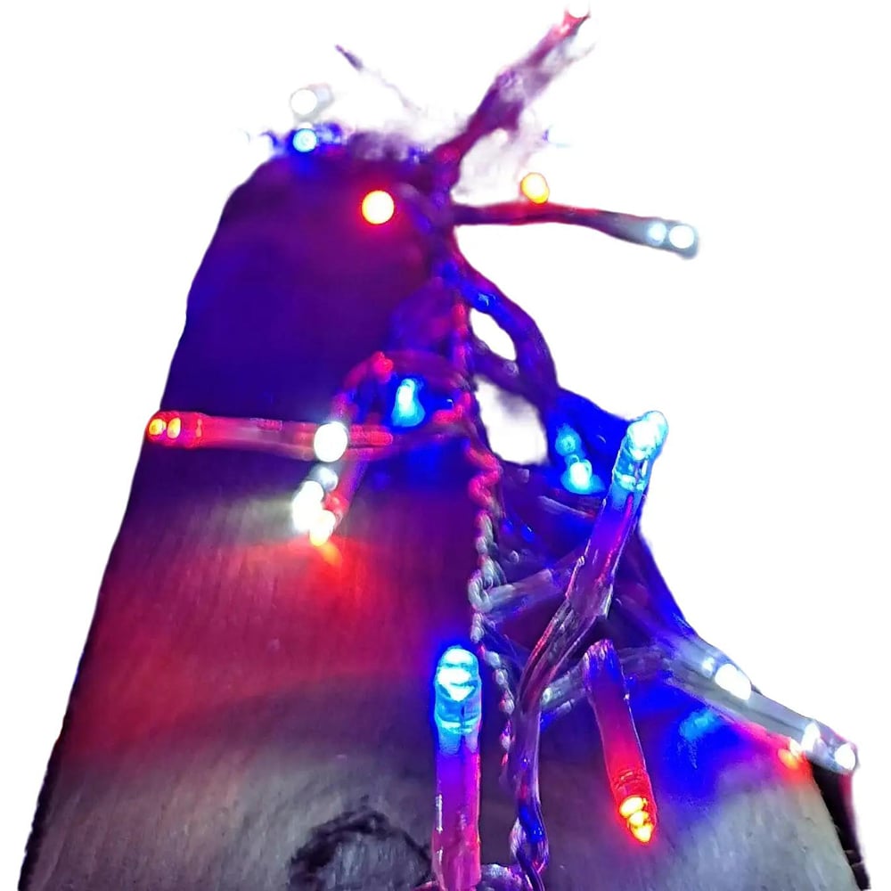 Samuel Alexander 200 Red White and Blue LED Cluster Christmas Light 16m Image 2
