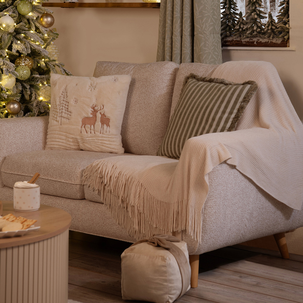 Isabella Stripe Ruffled Edge Cushion Image 8