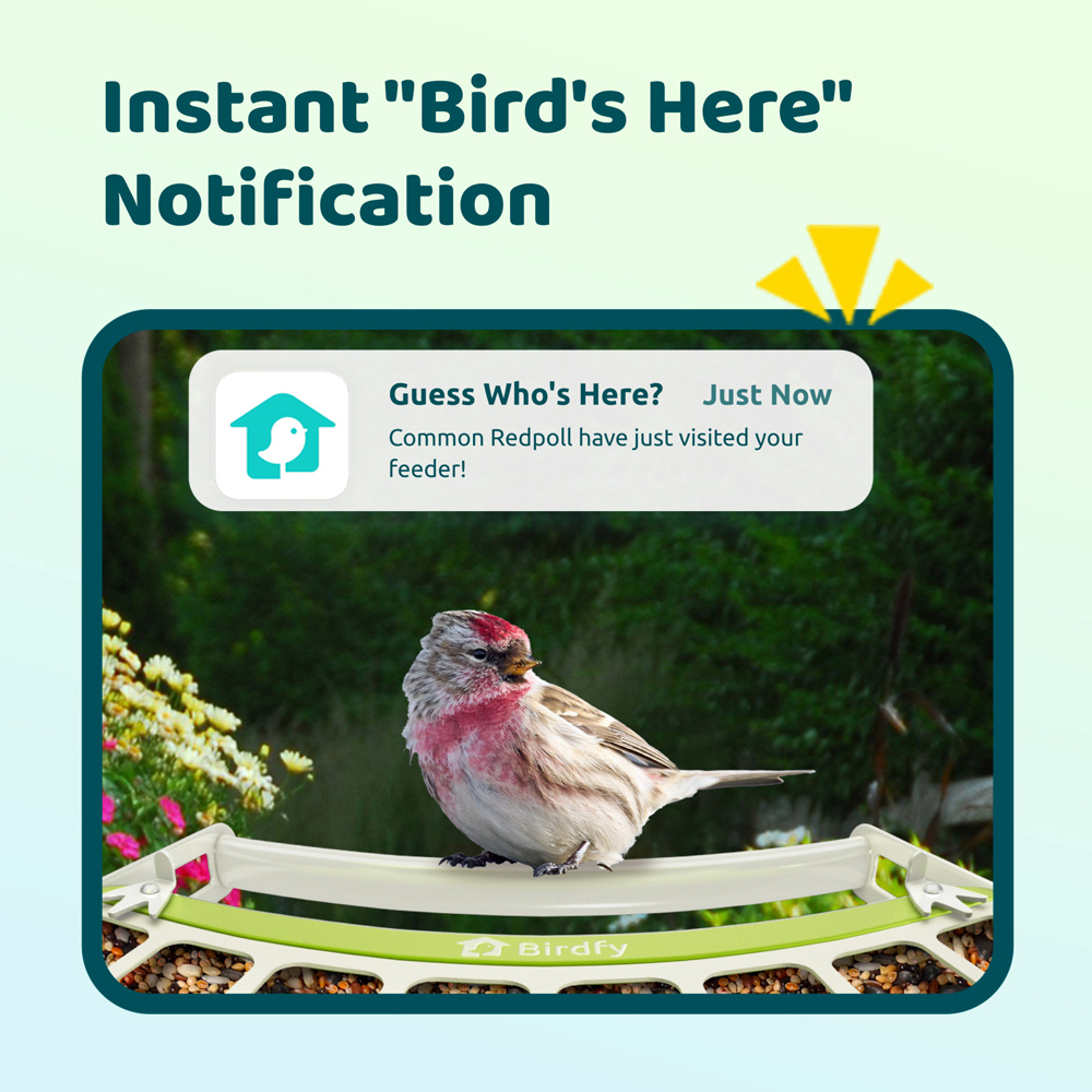 Birdfy Metal Outdoor Smart Bird Feeder with 1080p FHD AI Camera Image 5