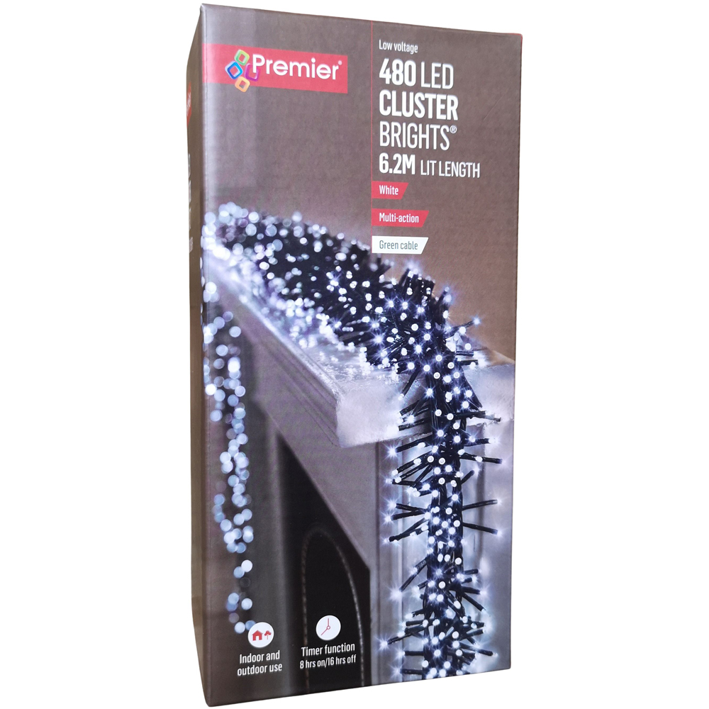 Premier ClusterBrights 480 Cool White LED Multi-Function Green Cluster Light 6.2m Image 2