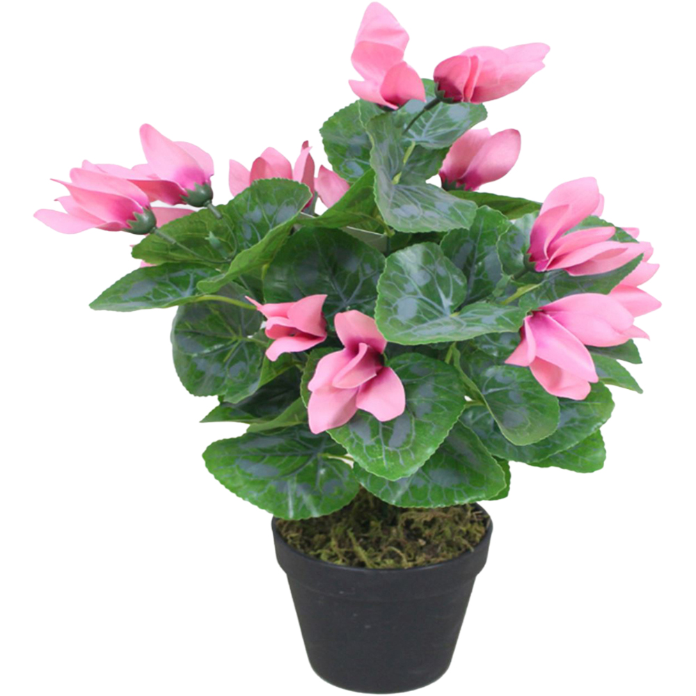 Leaf Pink Cylamen Artificial Plant in Plastic Pot 1.2ft Image