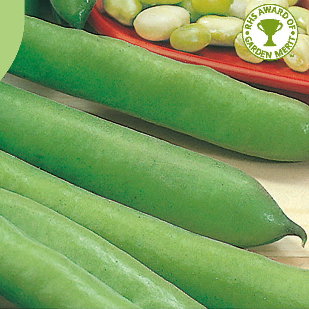 Pack of Broad Bean Aguadulce Seeds Image 2